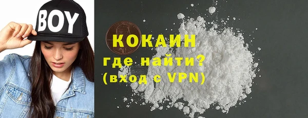 шишки Беломорск