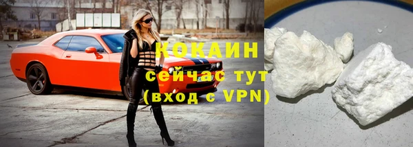 шишки Беломорск