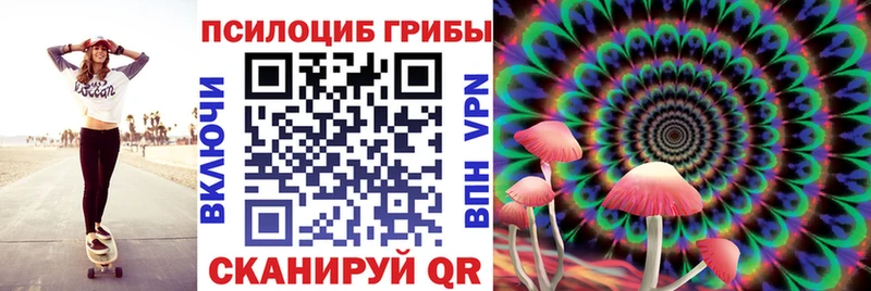 Псилоцибиновые грибы ЛСД  Плёс 
